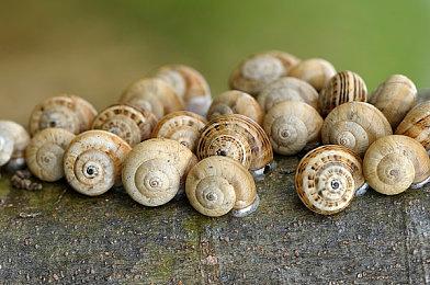 《收获日3》全球解锁时间公布 抢先体验首日玩家已抢上千亿